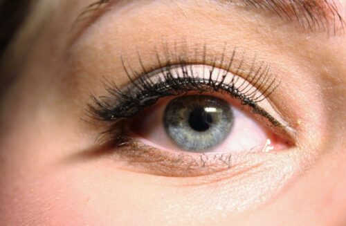 formation cils